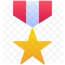 Medal Award Badge Icon