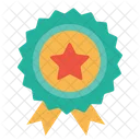 Medal Award Star Icon