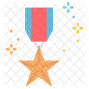 Medal  Icon