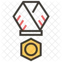 Medal Winner Award Icon