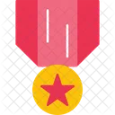 Medal Of Honor Achievement Award Badge Icon