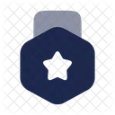 Medal Star Star Medal Icon