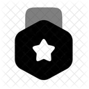Medal Star Icon