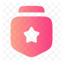 Medal Star Square  Icon