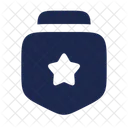 Medal Star Square  Icon