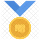 Medalha de artes marciais  Ícone