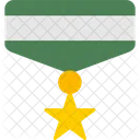 Medalha do exército  Ícone