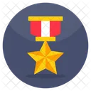 Medalha militar  Ícone