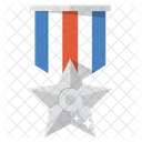 Medalla De Plata Premio Medalla Icon