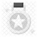 Medalla de plata  Icon
