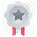 Medalla de plata  Icon