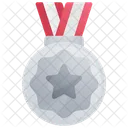 Medalla de plata  Icon