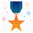 Dia Medalla Honor Icon