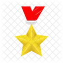 Insignia Medalla Estrella Icon