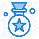 Estrella Premio Insignia Icono