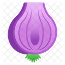 Verdura Media Cebolla Allium Cepa Icono