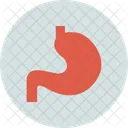 Medical Organ Body Icon