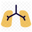 Respiratory Icon