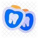 Medical Care Dental Icon