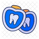Medical Care Dental Icon