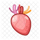Medical Heart Medical Healthcare Icon