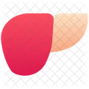 Medical Anatomy Liver Icon