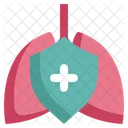 Medical Lungs  Icon