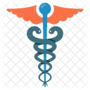 Care Pharmacy Medicine Icon