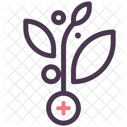 Medicine Icon