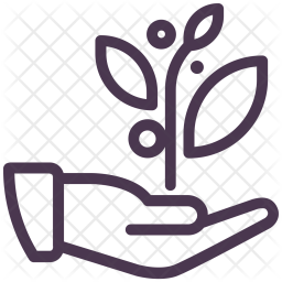 Medicine Icon