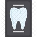 Medico Medicina Radiografia Icon