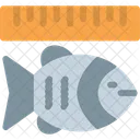 Medir  Ícone