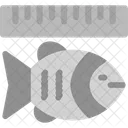 Medir  Ícone