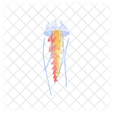 Medusas Marinas Flotantes Icon