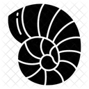 Muschel Schalentiere Jakobsmuschel Symbol