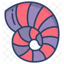 Muschel Schalentiere Jakobsmuschel Symbol