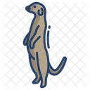 Meerkat Icon
