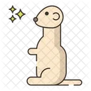 Meerkat  Icon