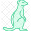 Meerkat Mammal Desert Icon