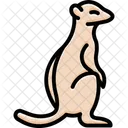 Meerkat Mammal Desert Icon