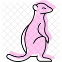 Meerkat Mammal Desert Icon