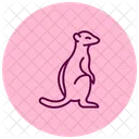 Meerkat Icon