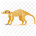 Meerkat Animal Wild Icon