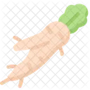 Gemuse Ballaststoffe Lebensmittel Symbol