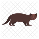 Meerschweinchen  Symbol