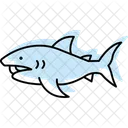 Megamouth Shark Megamouth Shark Icon