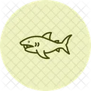 Megamouth Shark Megamouth Shark Icon