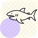 Megamouth Shark Megamouth Shark Icon