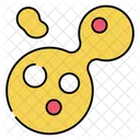 Meiosis Cell Division Chromosome Division Icon