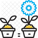 Mejorar Recuperar Rectificar Icono